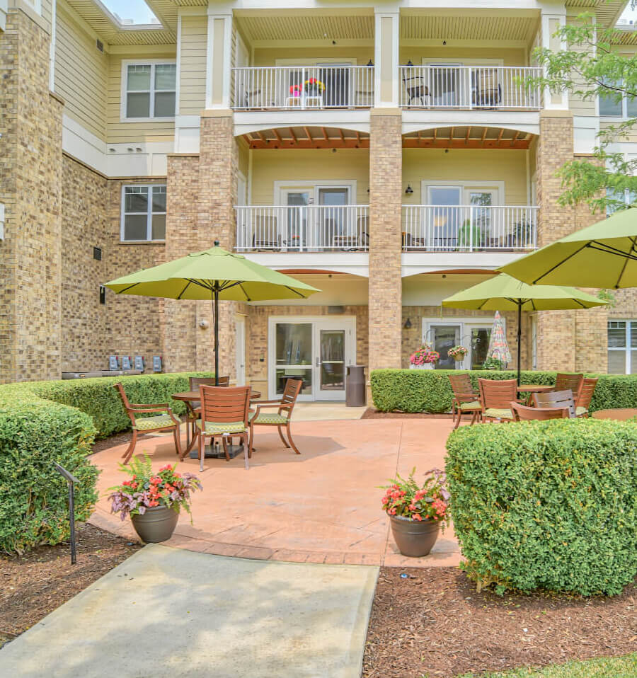 Rose Avon patio